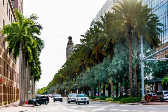 11 Best Places for Shopping in Miami -- Endless Travel Destinations