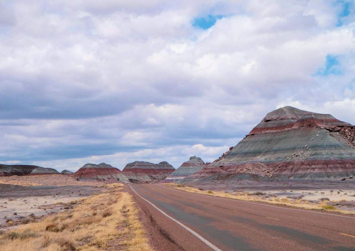 9 Best Things to Do on Route 66 in Arizona - Petrified Forest National Park - Endless Travel Destinations