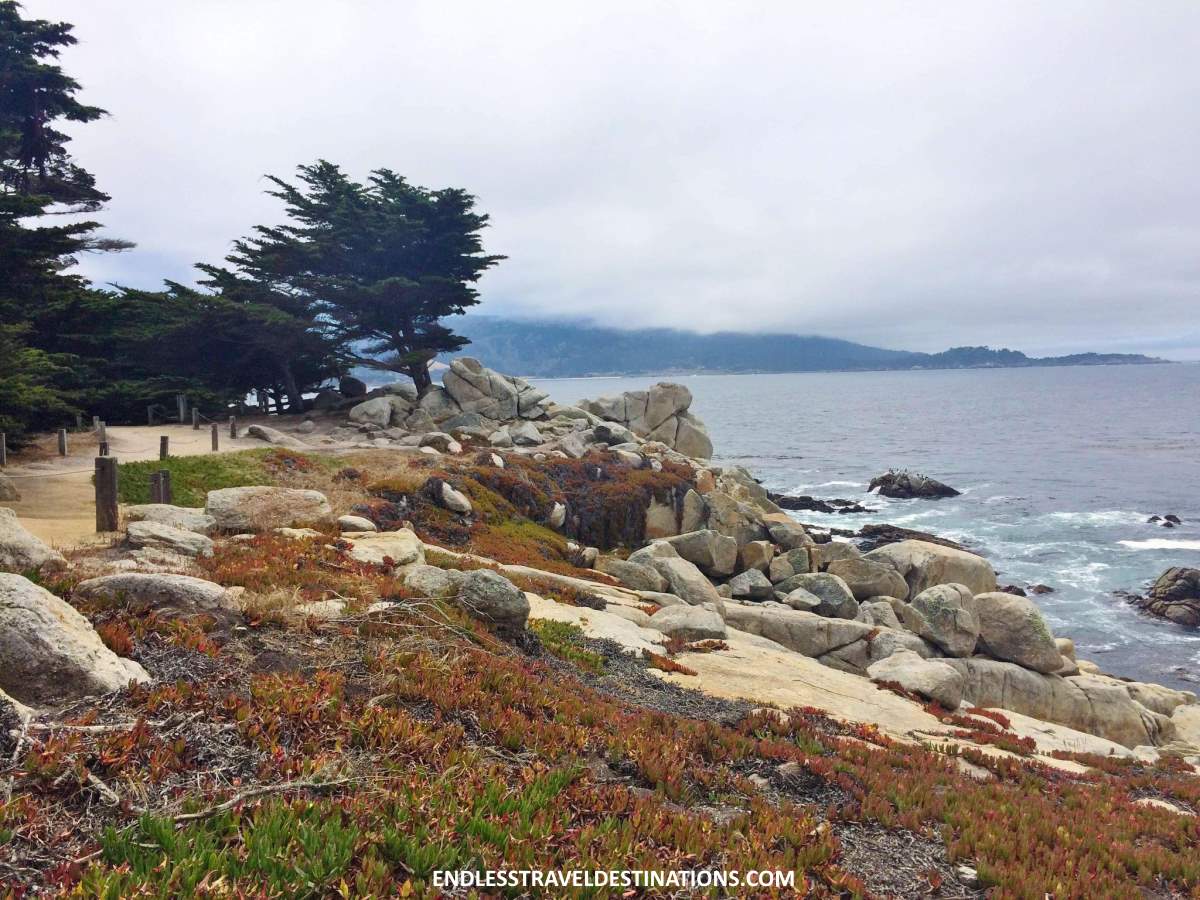 20 Best Things to Do on Pacific Coast Highway - 17 Mile Drive - Endless Travel Destinations