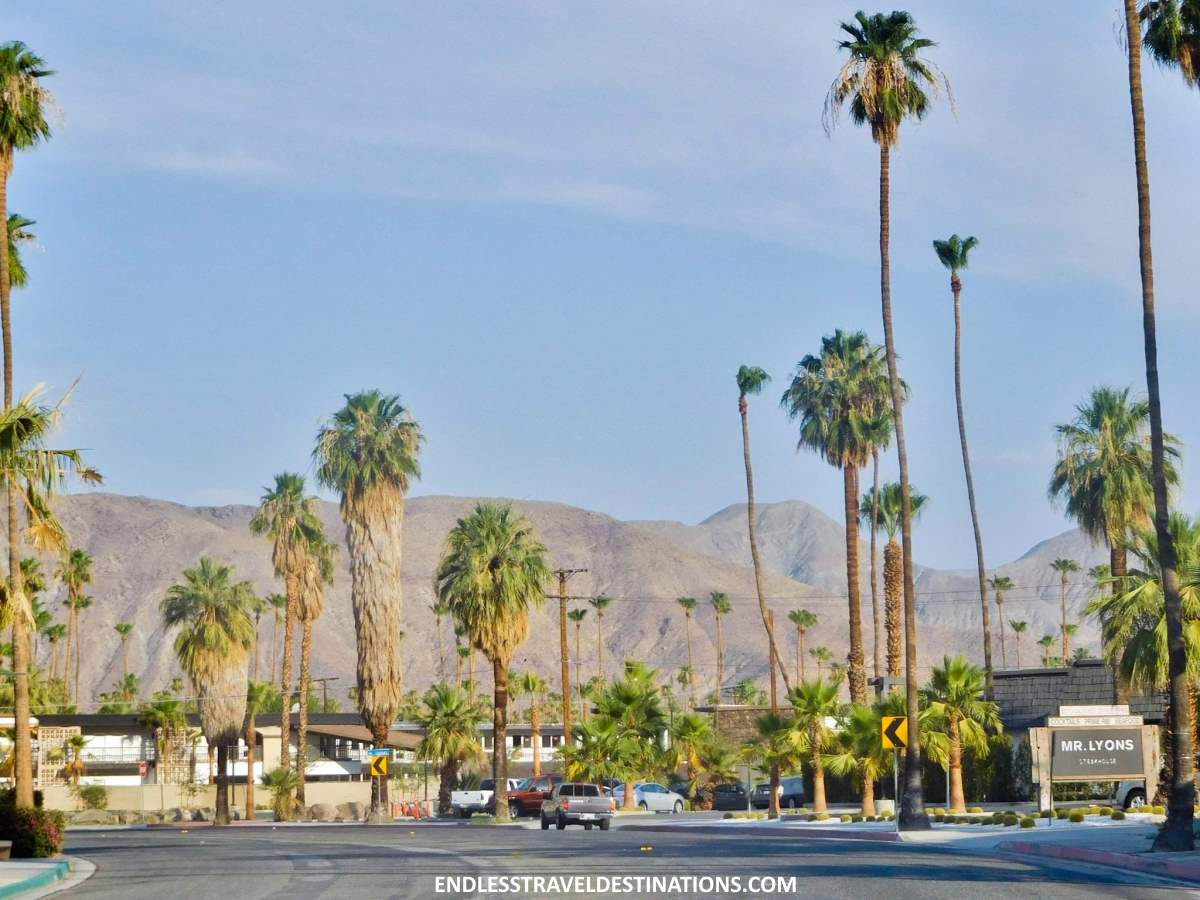 Palm Springs - Endless Travel Destinations