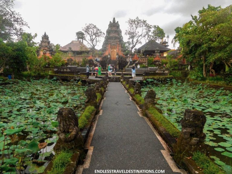 16 Very Best Things to Do in Ubud, Bali - Endless Travel Destinations
