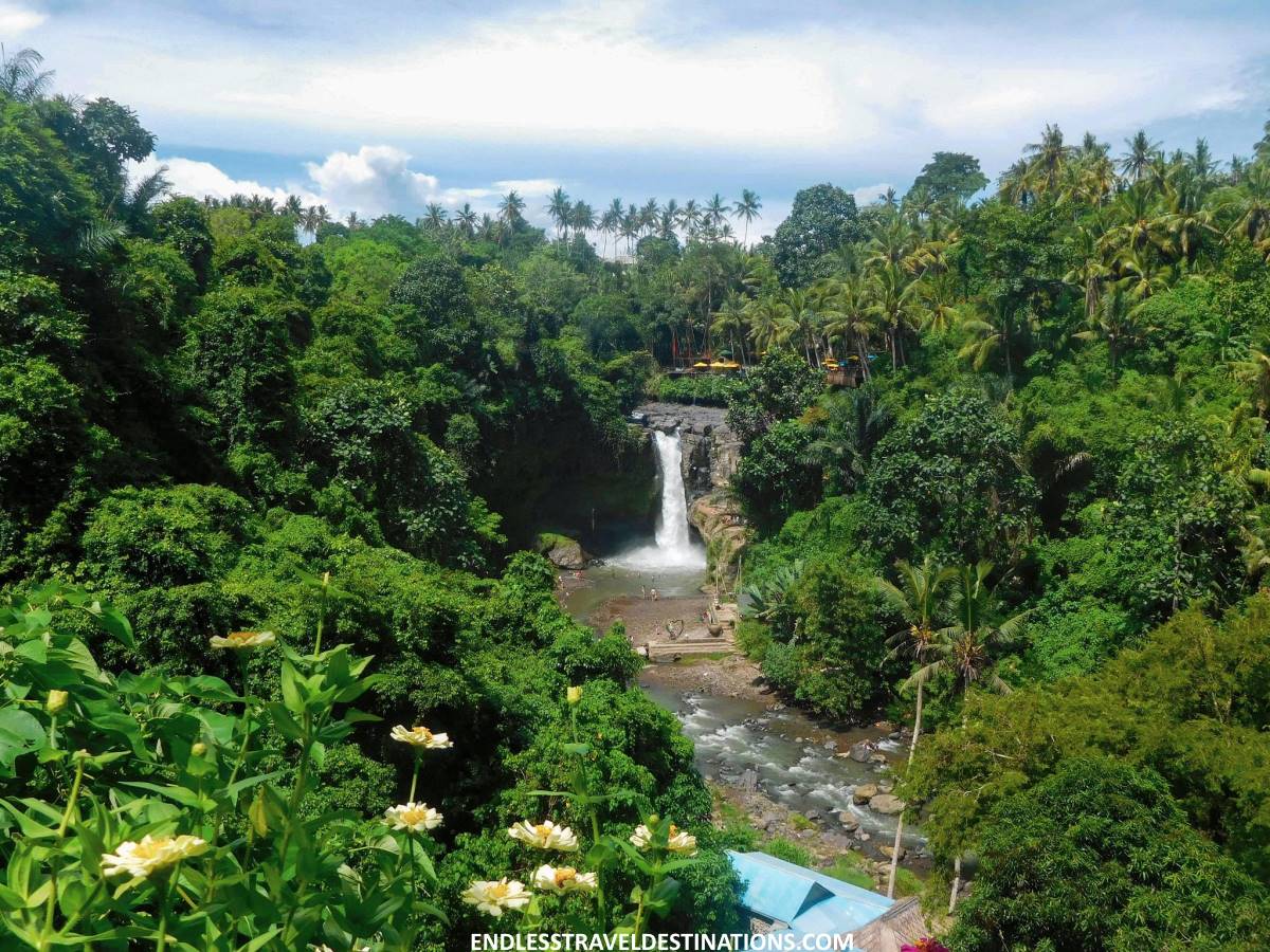 The Best Things to Do in Ubud, Bali - Tegenungan Waterfall - Endless Travel Destinations