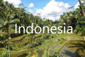 Destinations - Indonesia - Endless Travel Destinations