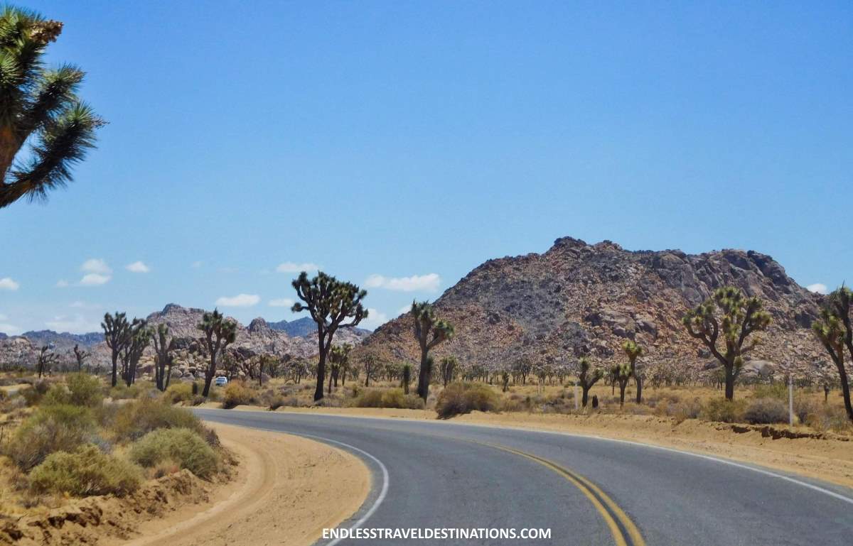12 Beautiful National Parks in the United States - Joshua Tree National Park - Endless Travel Destinations
