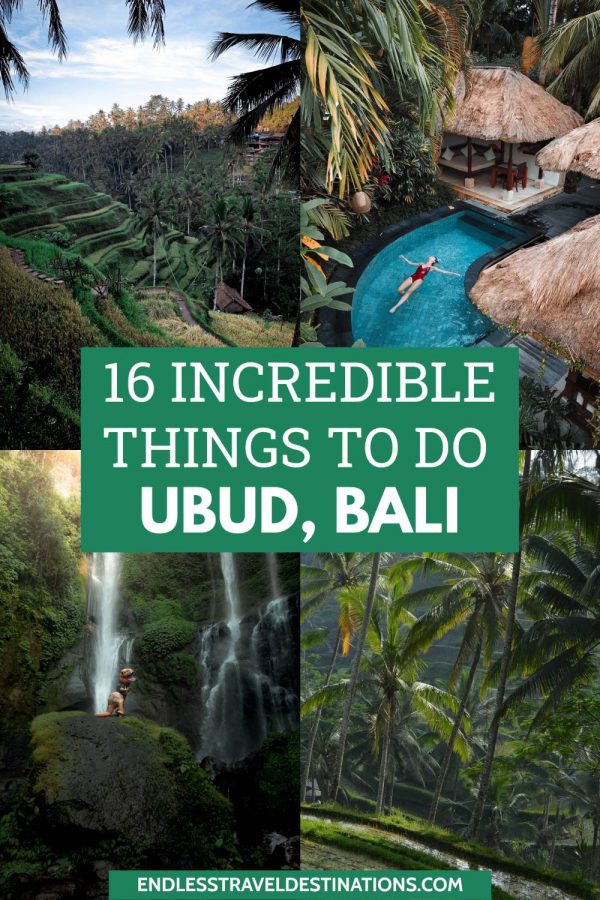 16 Very Best Things To Do In Ubud, Bali - Endless Travel Destinations