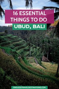 16 Best Things to Do in Ubud - Endless Travel Destinations