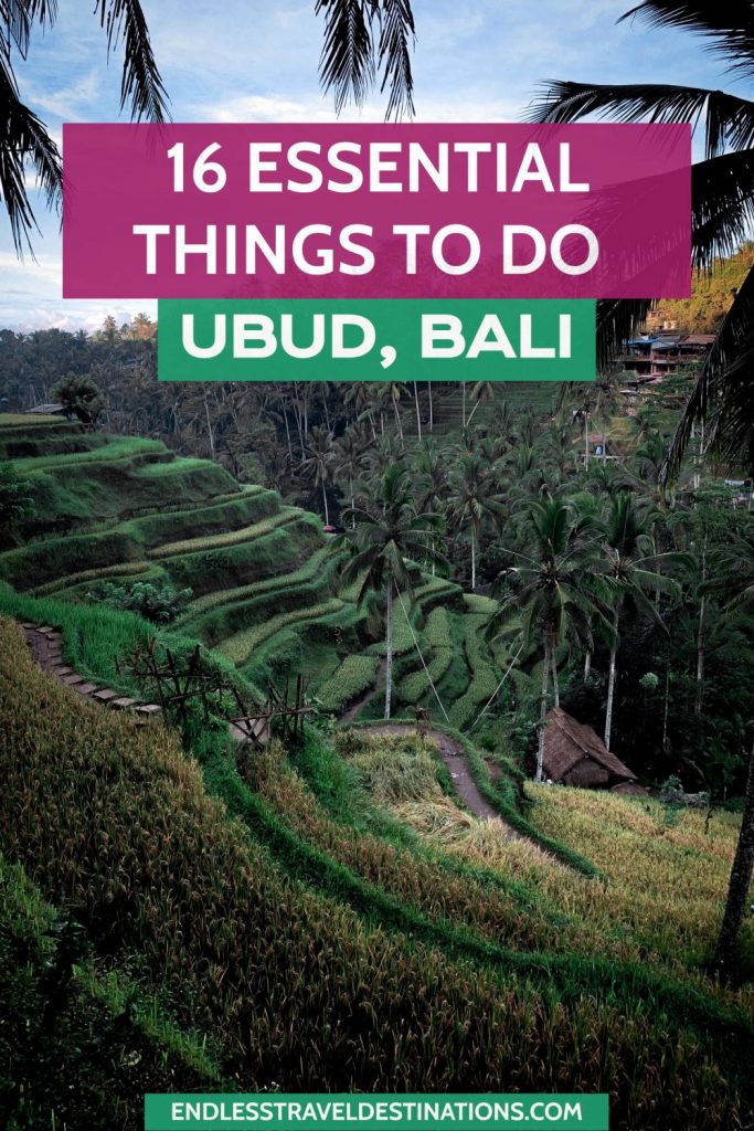 16 Very Best Things To Do In Ubud, Bali - Endless Travel Destinations