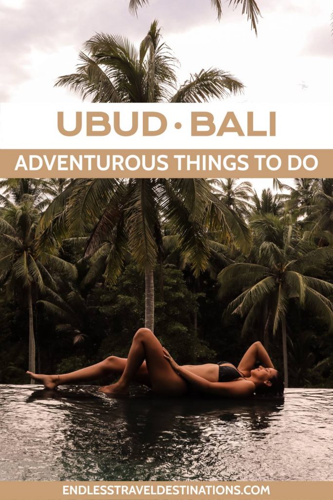 16 Very Best Things To Do In Ubud Bali Endless Travel Destinations