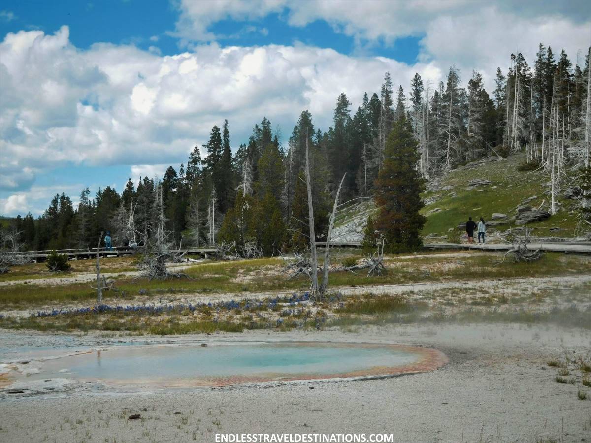 Ultimate Guide to Yellowstone National Park - Best time to visit - Endless Travel Destinations