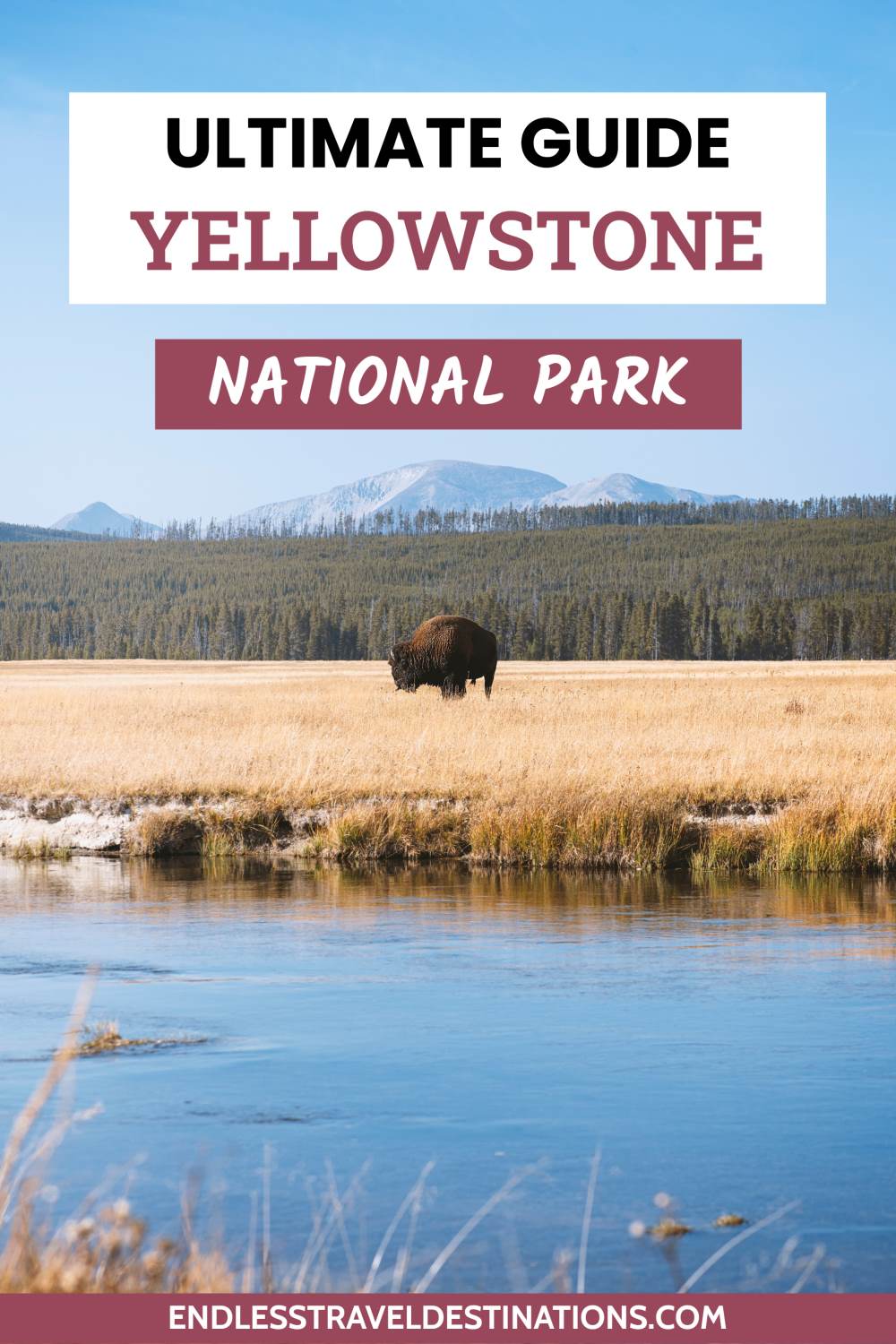 Ultimate Guide To Yellowstone National Park - Endless Travel Destinations