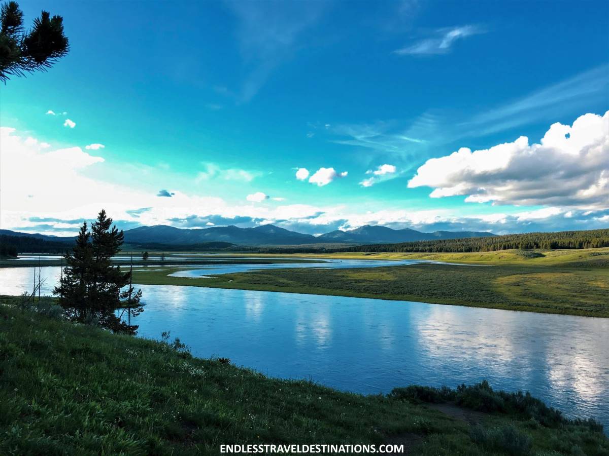 Ultimate Guide to Yellowstone National Park - Hayden Valley - Endless Travel Destinations