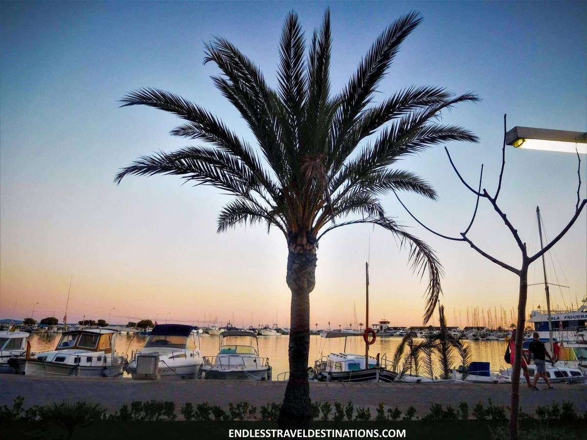 14 Best Things to Do in Alcudia, Mallorca - Alcudia Marina - Endless Travel Destinations